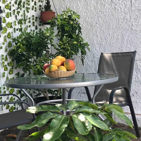 Lägenhet La Pajarera *